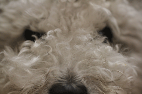 b0240608_2283368.gif