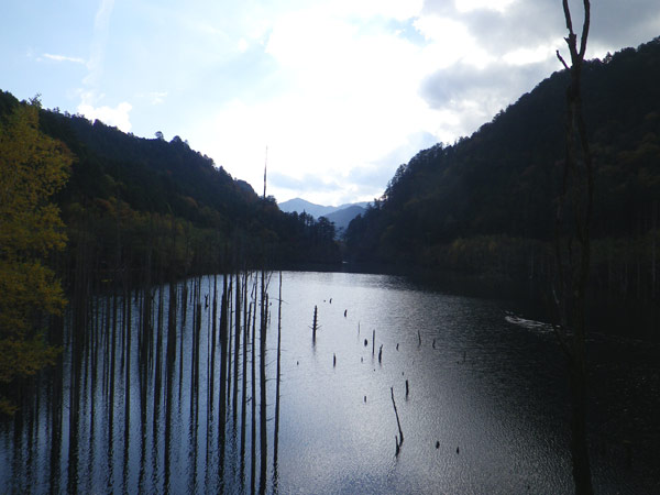b0000209_22202843.jpg