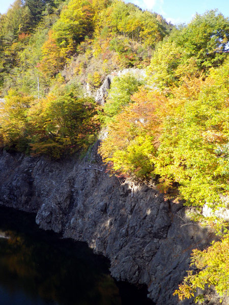 b0000209_2246552.jpg