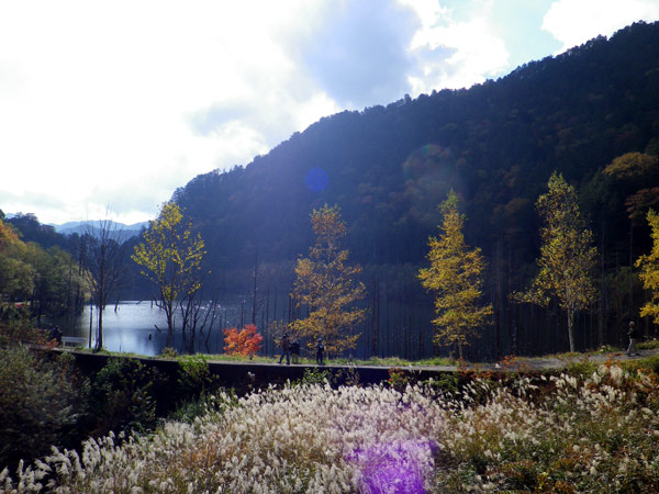 b0000209_22584922.jpg