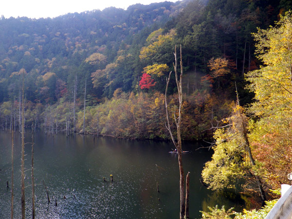 b0000209_2259957.jpg
