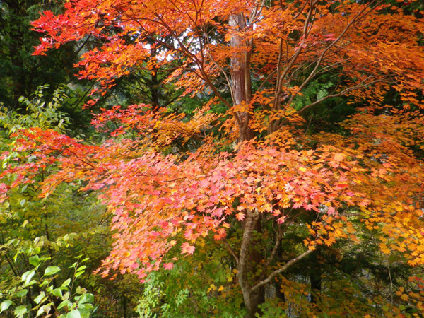 b0000209_23121516.jpg