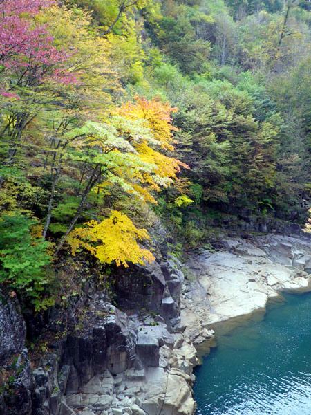 b0000209_23123574.jpg