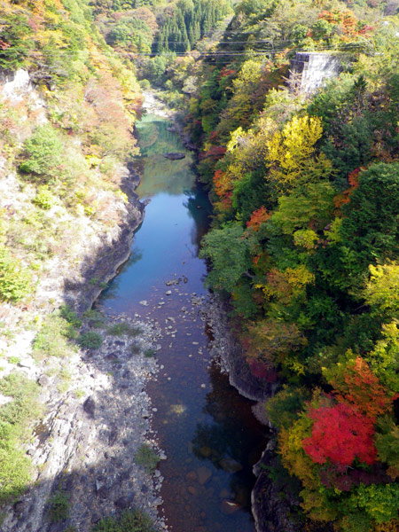 b0000209_2313576.jpg
