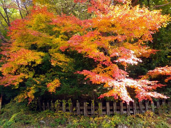 b0000209_23162240.jpg