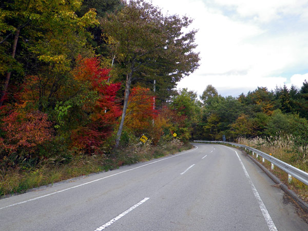 b0000209_23181852.jpg