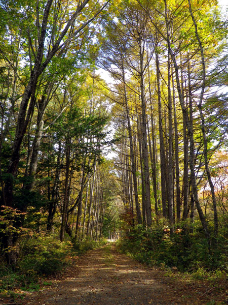 b0000209_23235285.jpg