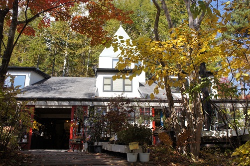 b0112909_13393359.jpg
