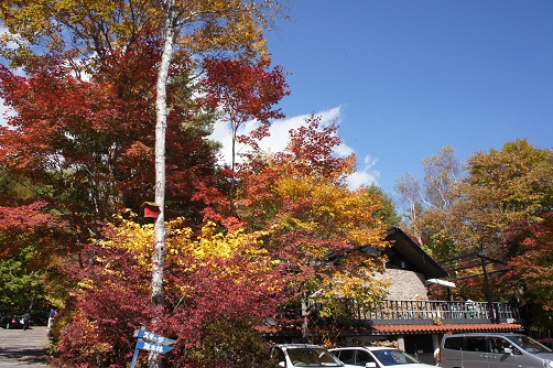 b0112909_9215287.jpg