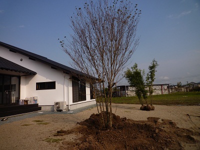 a0156611_12311163.jpg