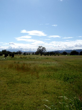f0043911_23341742.jpg