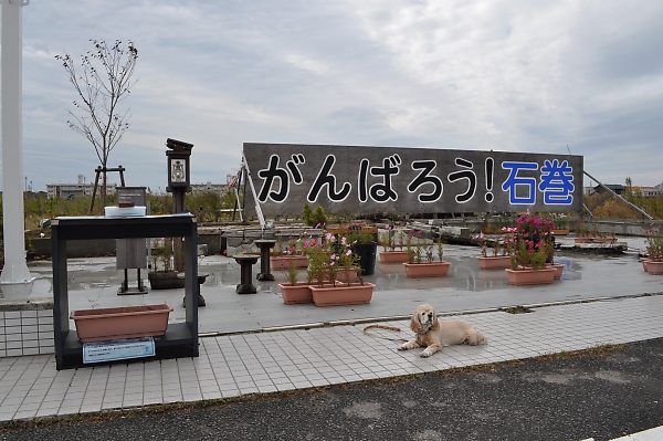 b0067012_2220519.jpg