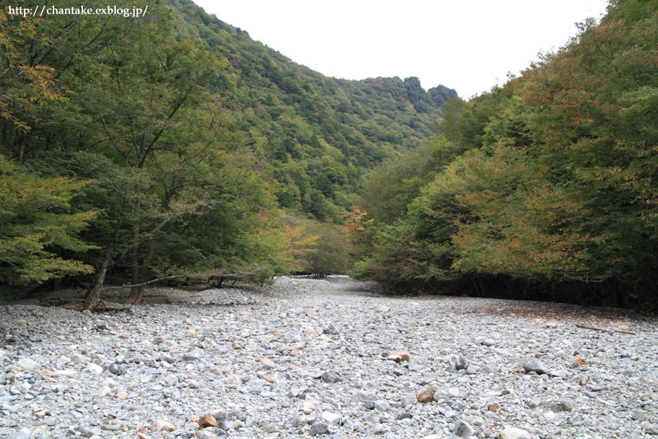 c0189013_2235538.jpg