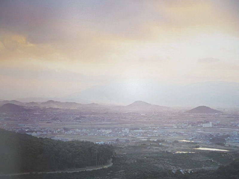 b0174217_20481520.jpg