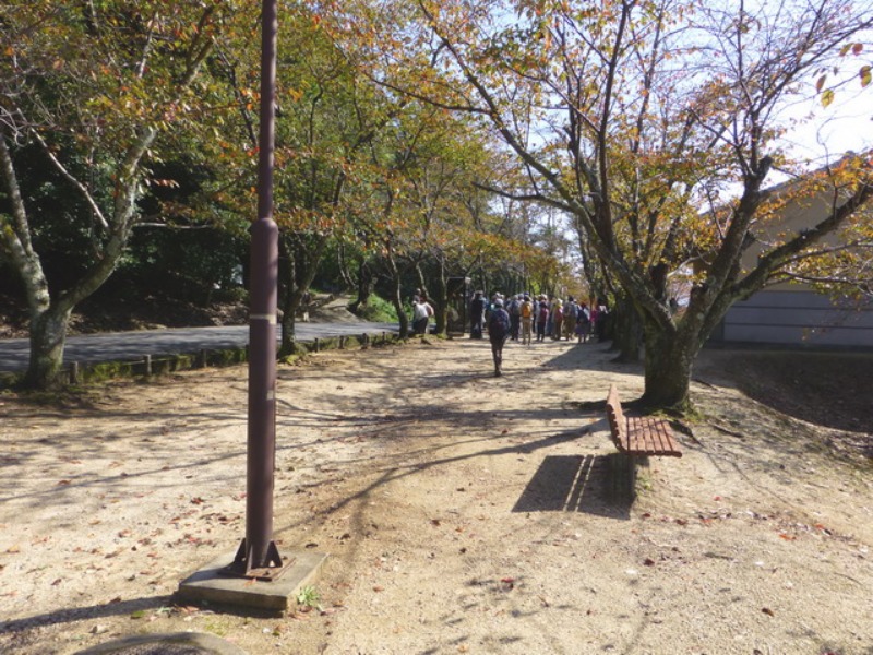 b0174217_2054168.jpg