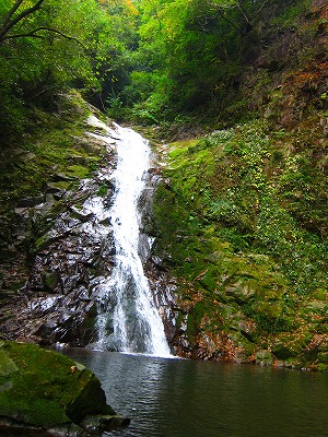 e0224118_1623170.jpg