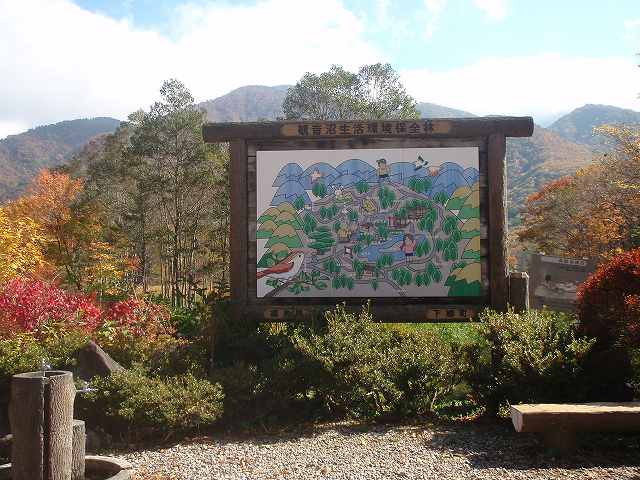観音沼の紅葉!_a0256619_2039282.jpg