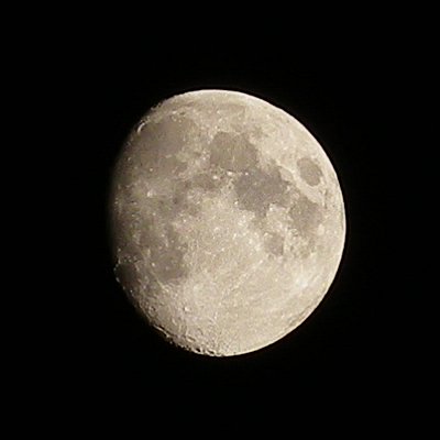 a0260019_05781.jpg