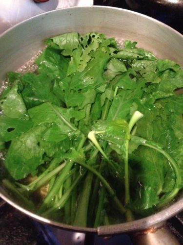 大根の間引き菜 カブの葉 獺 Kawauso ひねもすお酒と野菜と食楽な日々