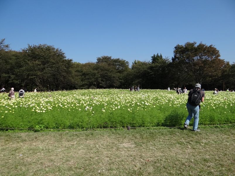 昭和記念公園_f0004019_20203340.jpg