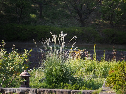 b0093625_94236.jpg