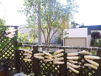 c0204725_012335.jpg