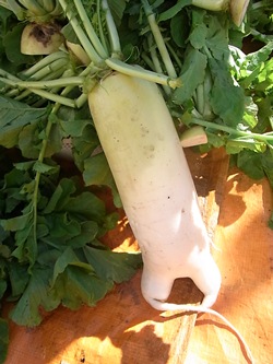 c0204725_033159.jpg