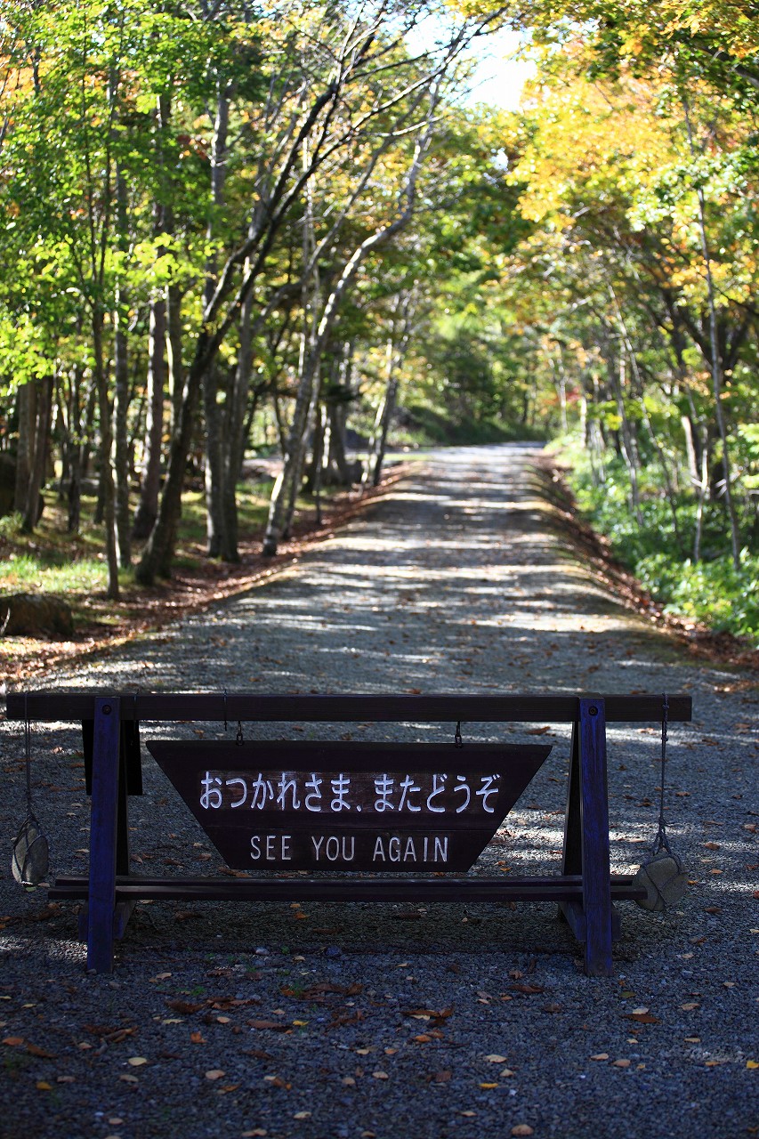 b0243727_20295136.jpg