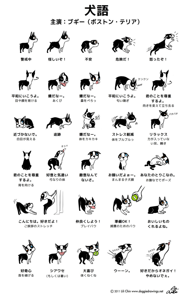 犬語のことやらなんやら ボクはホセ 犬語のことやらなんやら ボクはホセ