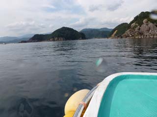 2012年10月28日(土・晴れ)甲浦_d0164831_1752351.jpg