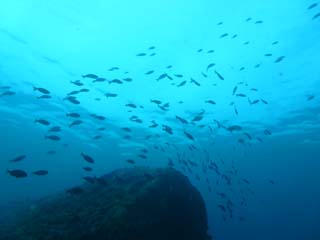 2012年10月28日(土・晴れ)甲浦_d0164831_17916100.jpg