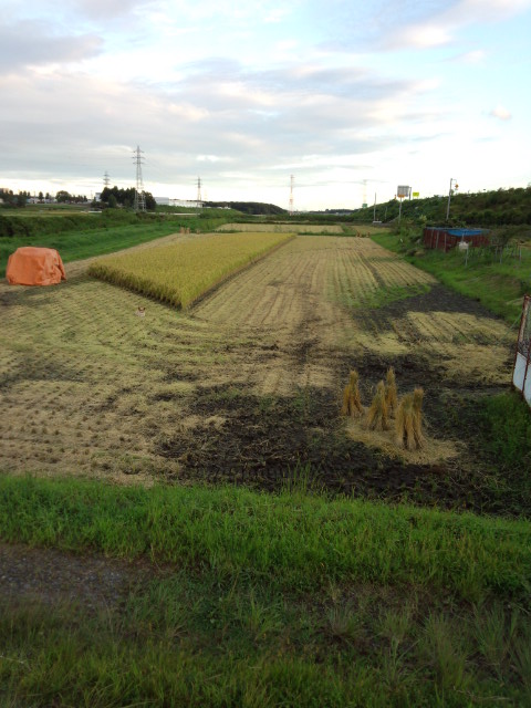 b0164132_1803462.jpg
