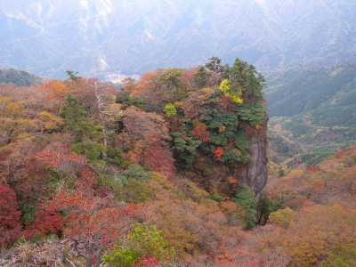 祖母・傾山の落葉絨毯路を縦走する！_e0272335_2171887.jpg