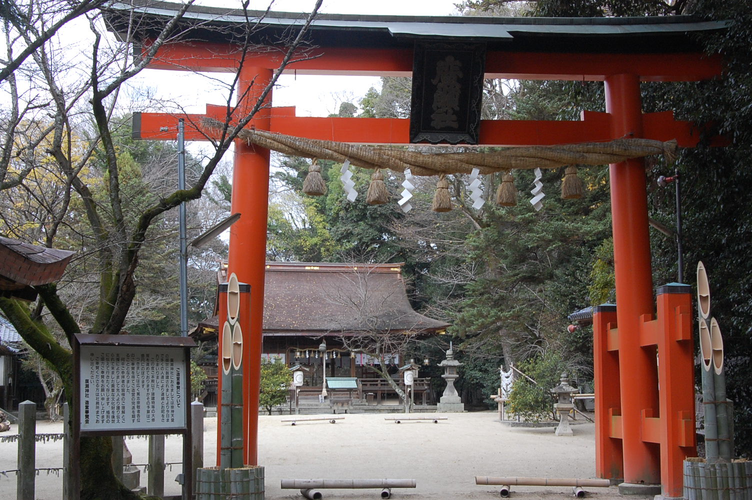 平安神宮 左近の桜 右近の橘 奈良 桜井の歴史と社会