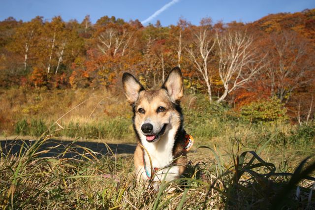 国見温泉紅葉2012_b0031538_22122172.jpg