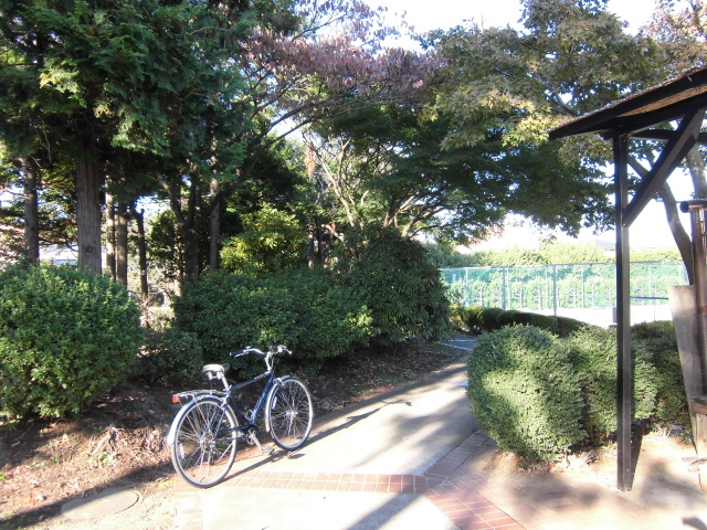 朝陽_b0066747_1534090.jpg