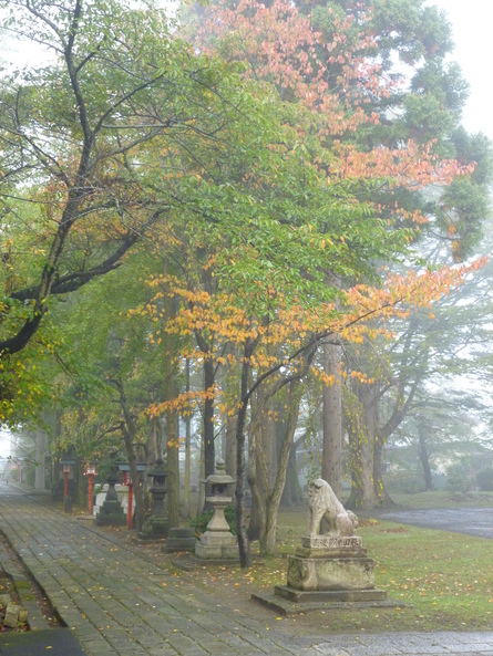 b0238249_1005437.jpg