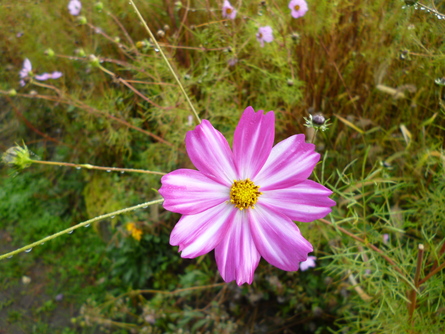 b0238249_1023768.jpg