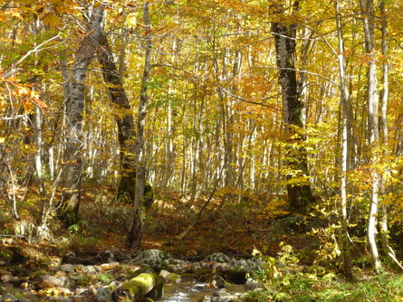 b0238249_105045.jpg