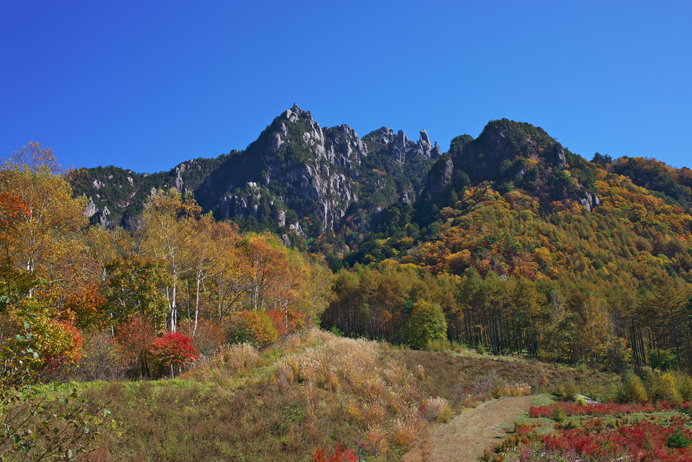 帰り道西日の逆光で見た紅葉　　　　　　　　_a0146658_1446393.jpg