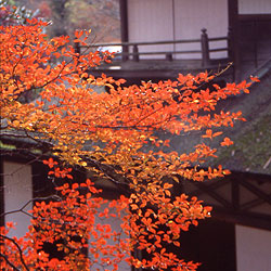 b0274159_124544100.jpg