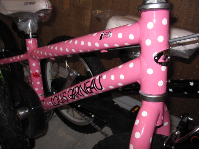 LGS-J16 ルイガノ キッズ_e0188759_18253255.jpg