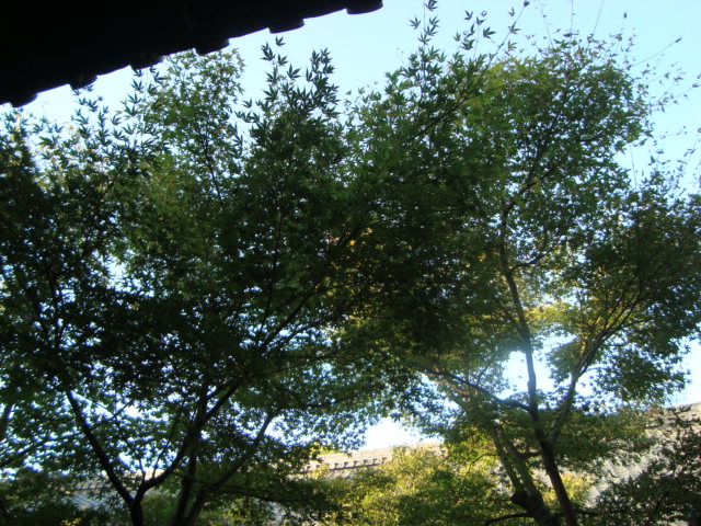 京都・祇園「建仁寺」へ行く。_f0232060_2351575.jpg