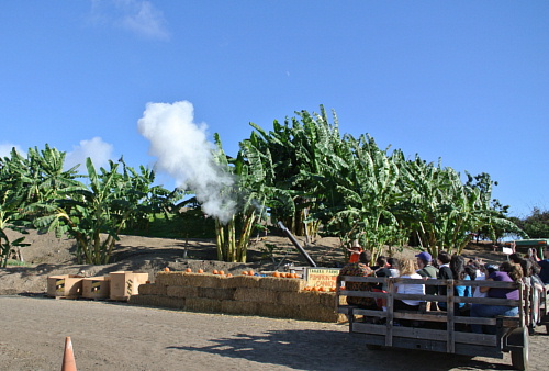 a0269761_11315774.jpg