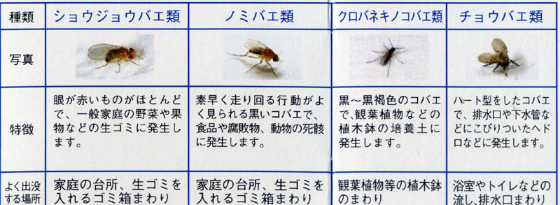 レストランアルボア東大農学部構内_a0053063_1054615.jpg