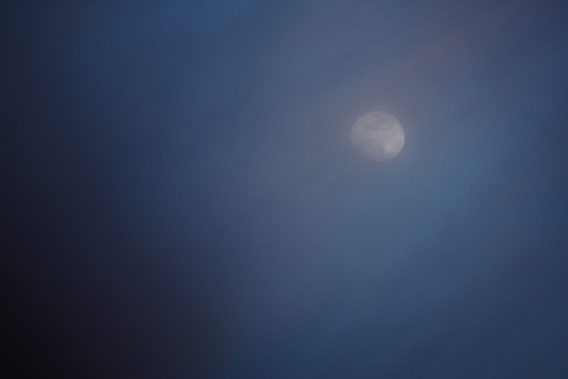 c0183164_2231753.jpg