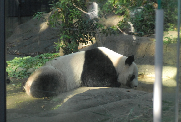 b0286966_2392790.jpg