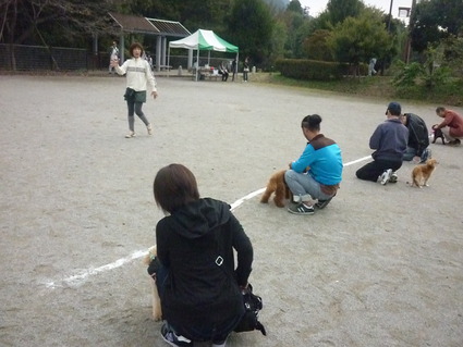 10.27 林間公園犬のしつけ教室_a0139367_19525879.jpg