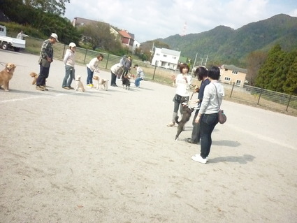 10.27 林間公園犬のしつけ教室_a0139367_19531594.jpg