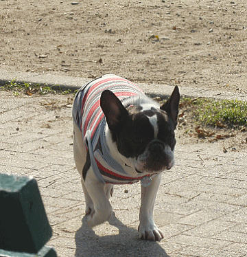 d0152869_23455620.gif